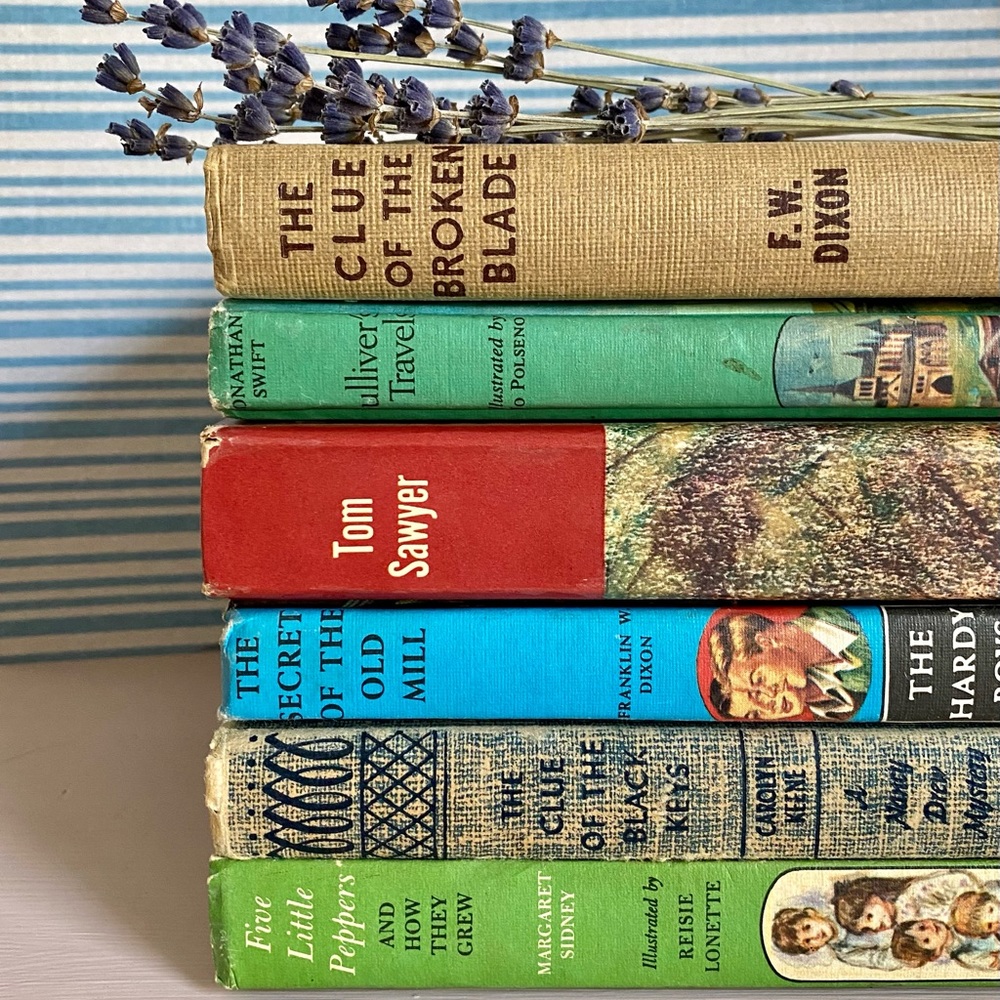Decor Book bundle of classic children’s novels